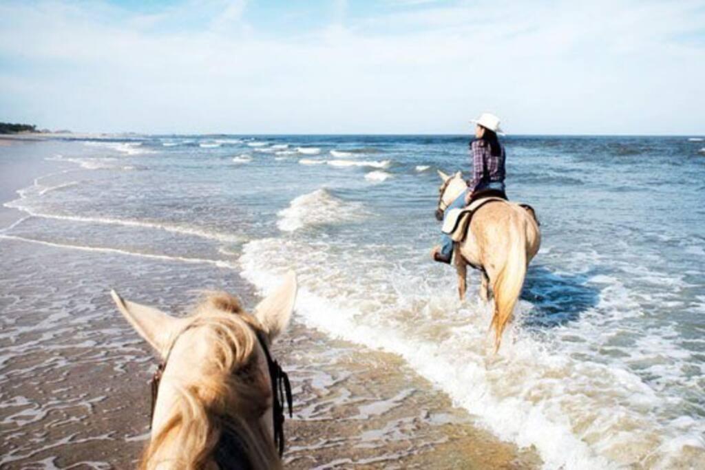Amelia Island Oceanfront Condo أميليا أيلاند المظهر الخارجي الصورة